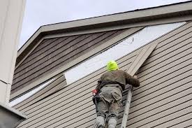 Best Residential Vinyl Siding Installation  in Three Points, AZ